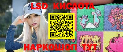 гидропоника Новозыбков