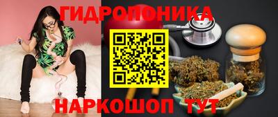 гидропоника Новозыбков