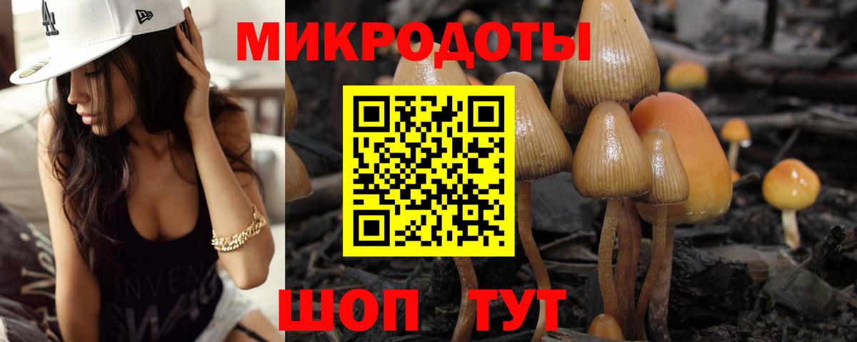 где можно купить   Вход с VPN  Сургут  Псилоцибиновые грибы мухоморы 